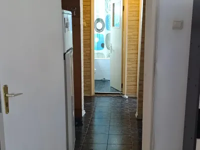 Hol spre living apartament vanzare cumparare Sector 6 București